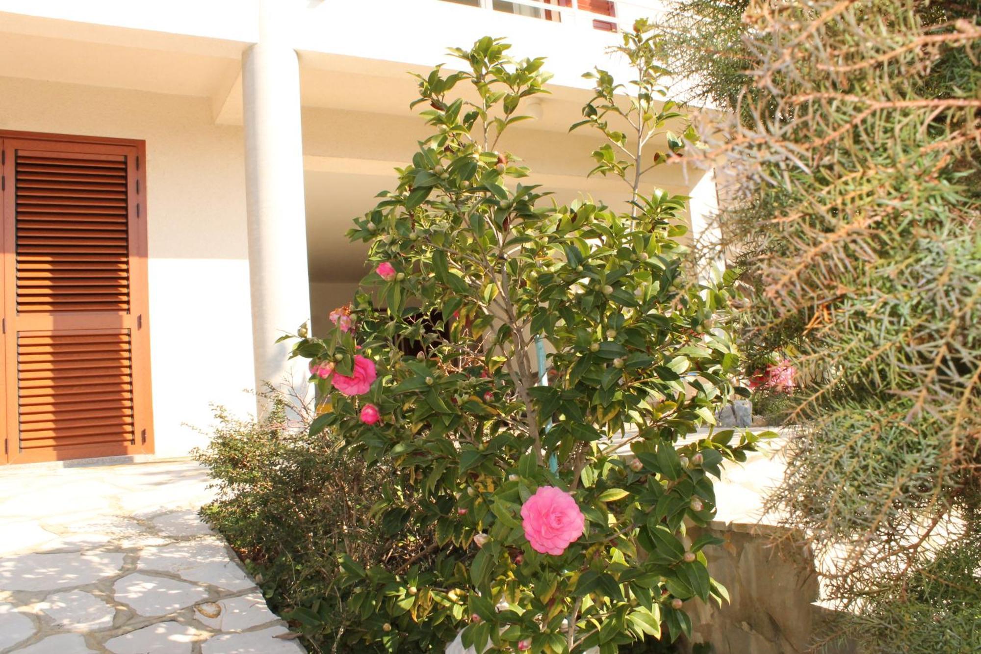 Apartments Vila Marica Rabac Zewnętrze zdjęcie