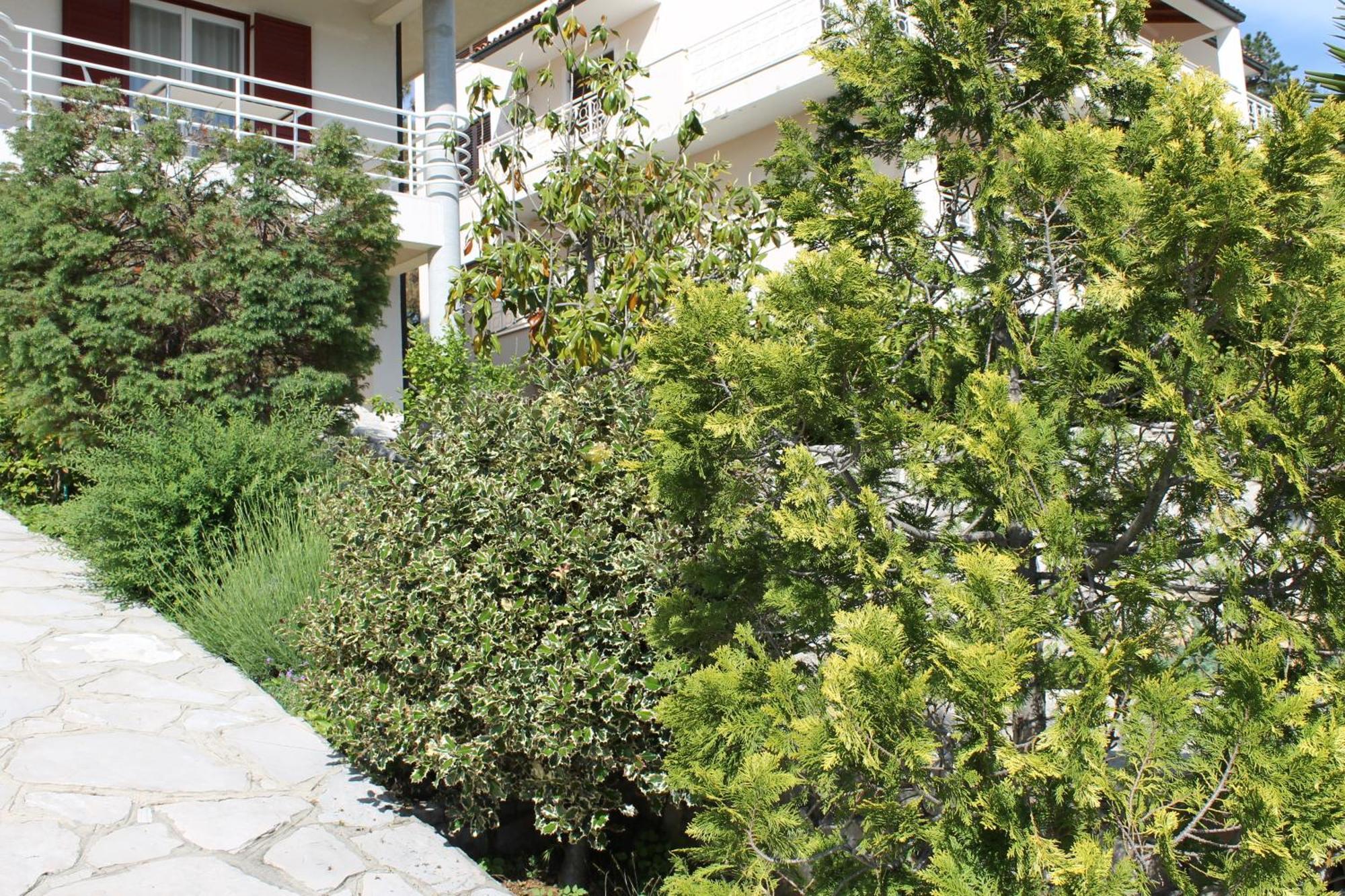 Apartments Vila Marica Rabac Zewnętrze zdjęcie