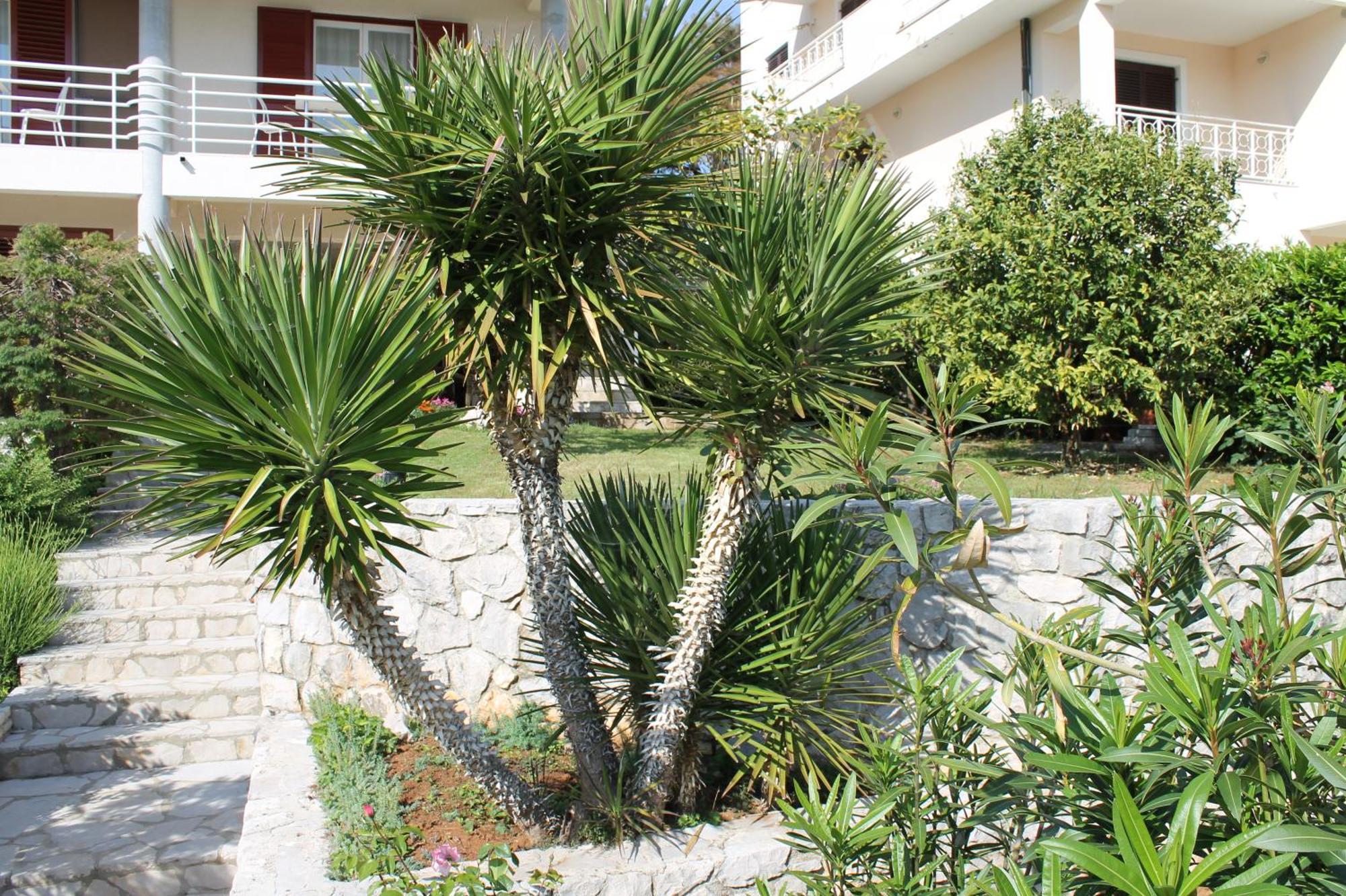 Apartments Vila Marica Rabac Zewnętrze zdjęcie