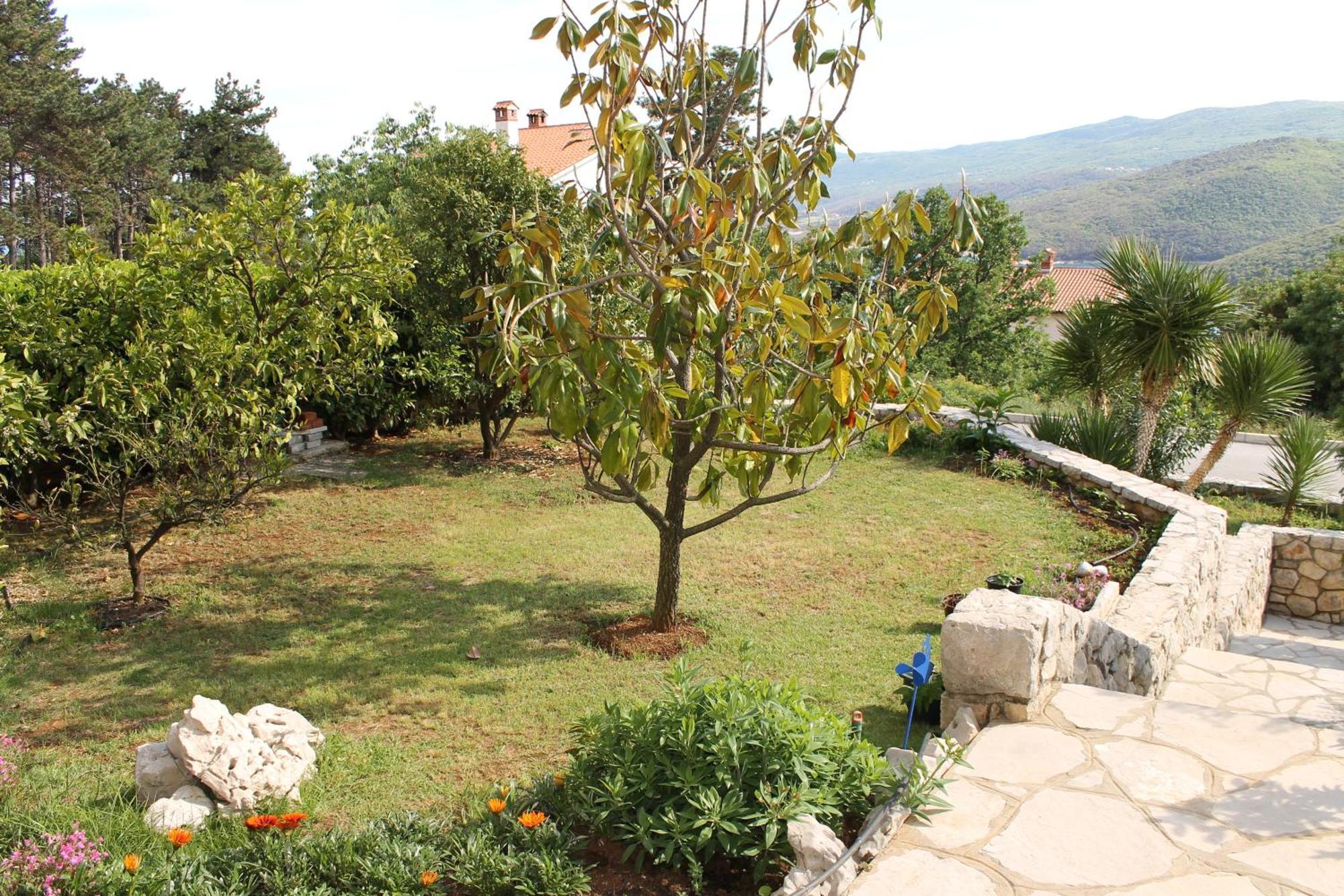 Apartments Vila Marica Rabac Zewnętrze zdjęcie