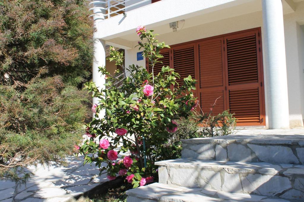 Apartments Vila Marica Rabac Zewnętrze zdjęcie
